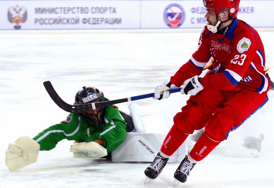 Хоккей с мячом. Чемпионат мира. Матч Россия - Германия