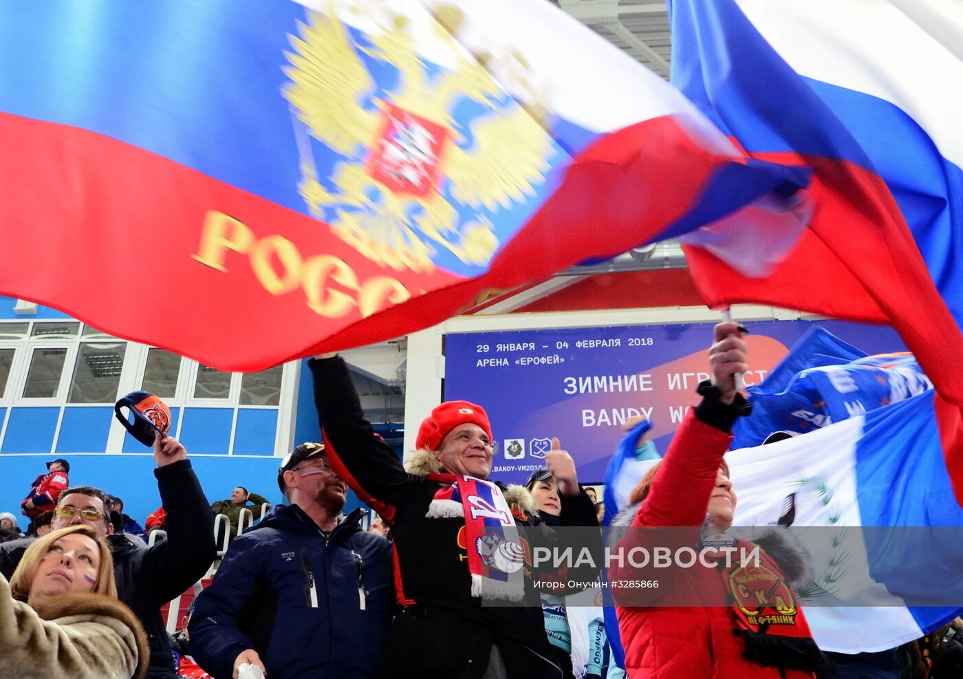 Хоккей с мячом. Чемпионат мира. Матч Россия - Германия