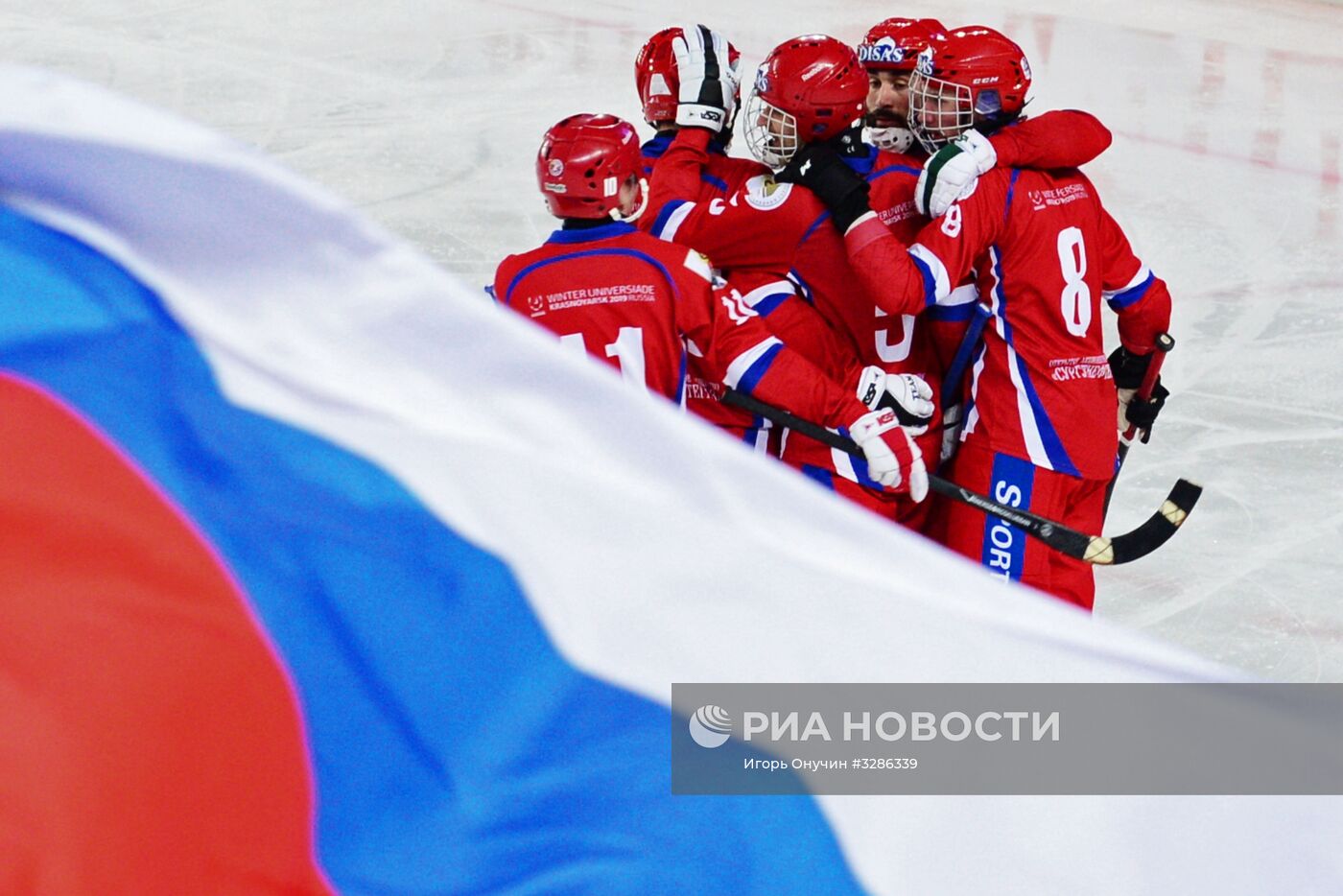Хоккей с мячом. Чемпионат мира. Матч Россия - Финляндия
