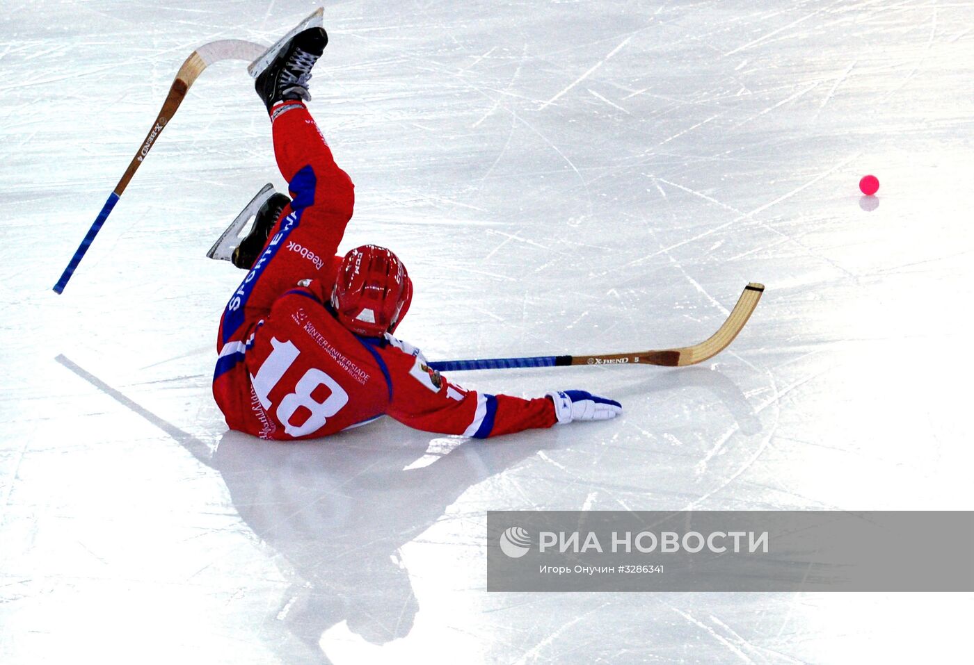 Хоккей с мячом. Чемпионат мира. Матч Россия - Финляндия