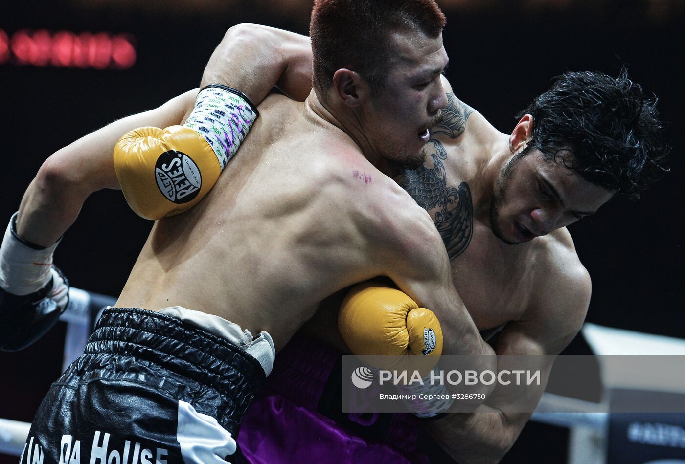 Бокс. Бой М. Гассиева и Ю. Дортикоса