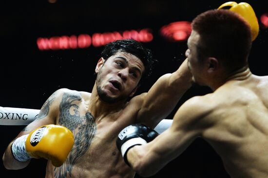 Бокс. Бой М. Гассиева и Ю. Дортикоса