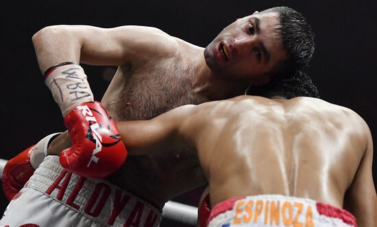 Бокс. Бой М. Гассиева и Ю. Дортикоса