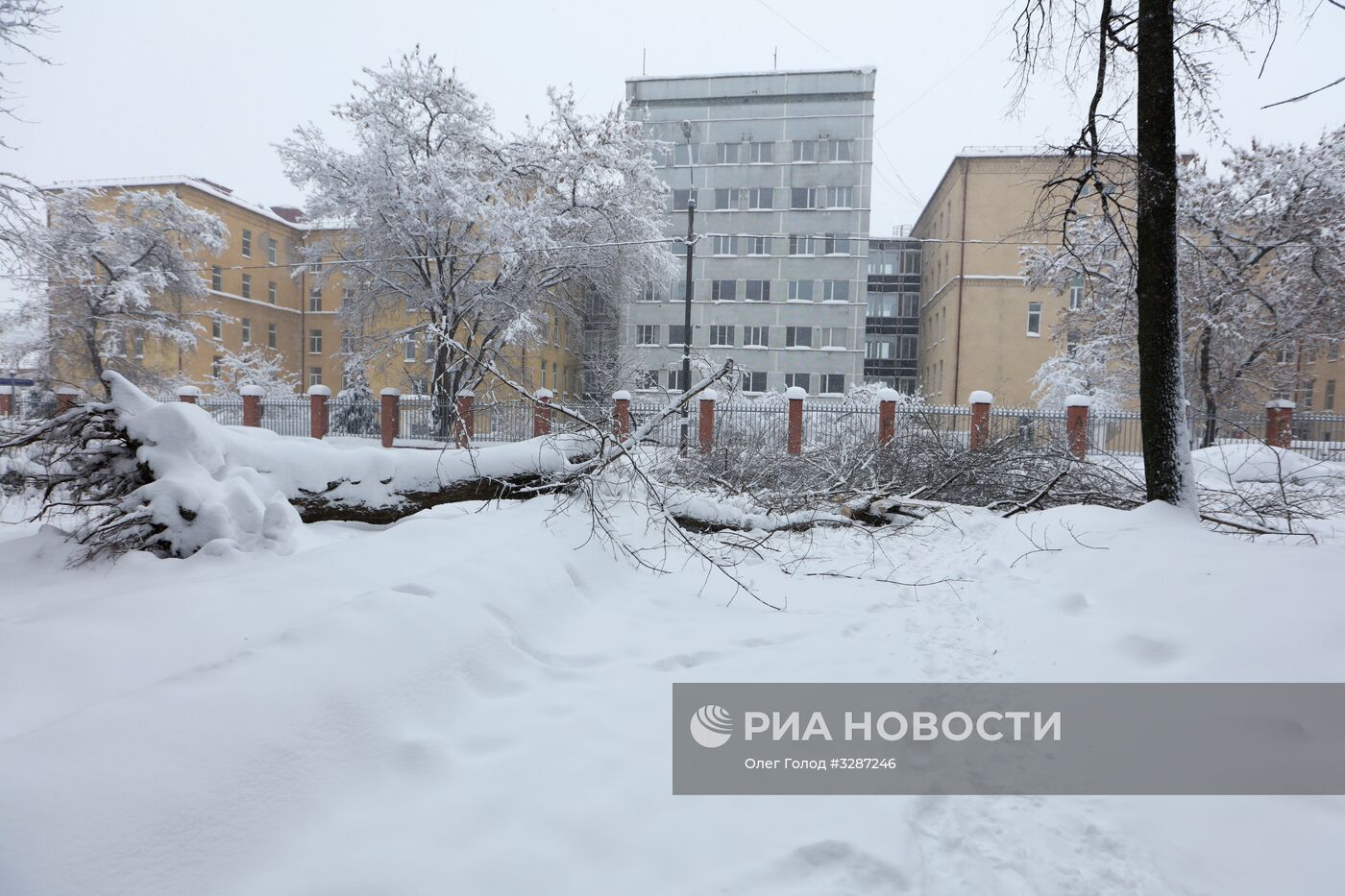 Снегопад в Москве