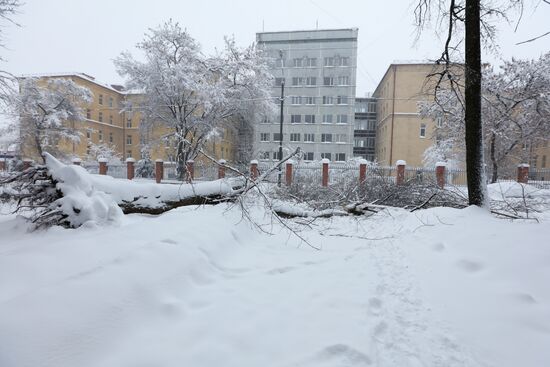 Снегопад в Москве