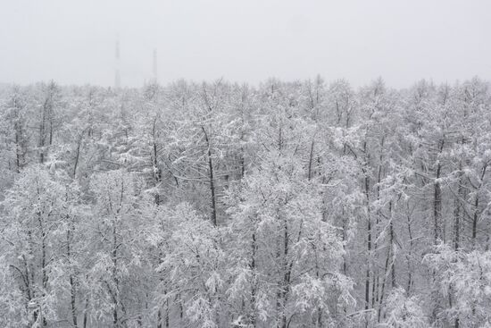 Снегопад в Москве