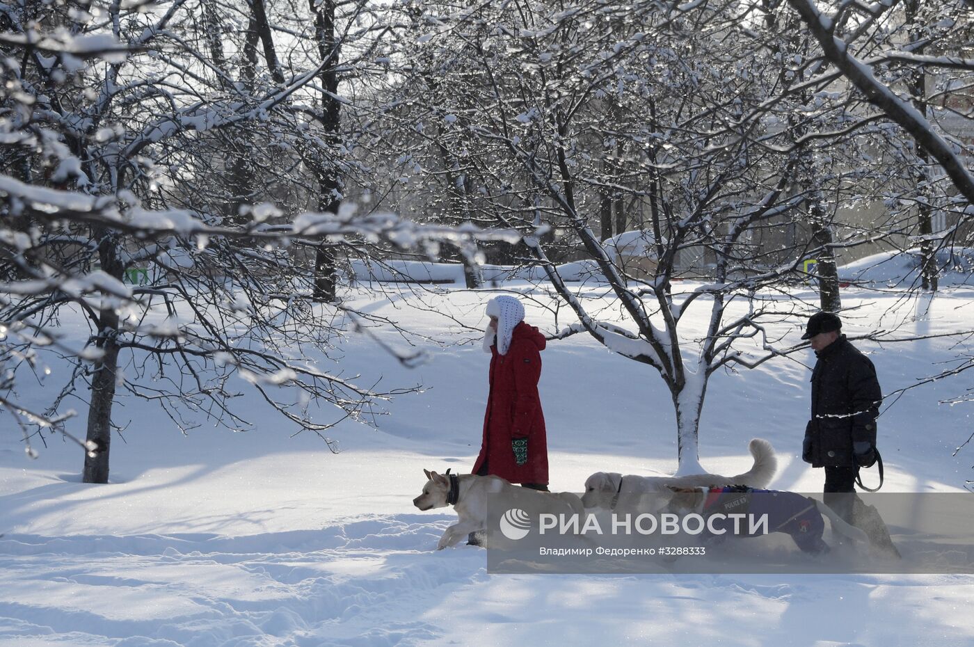 Повседневная жизнь