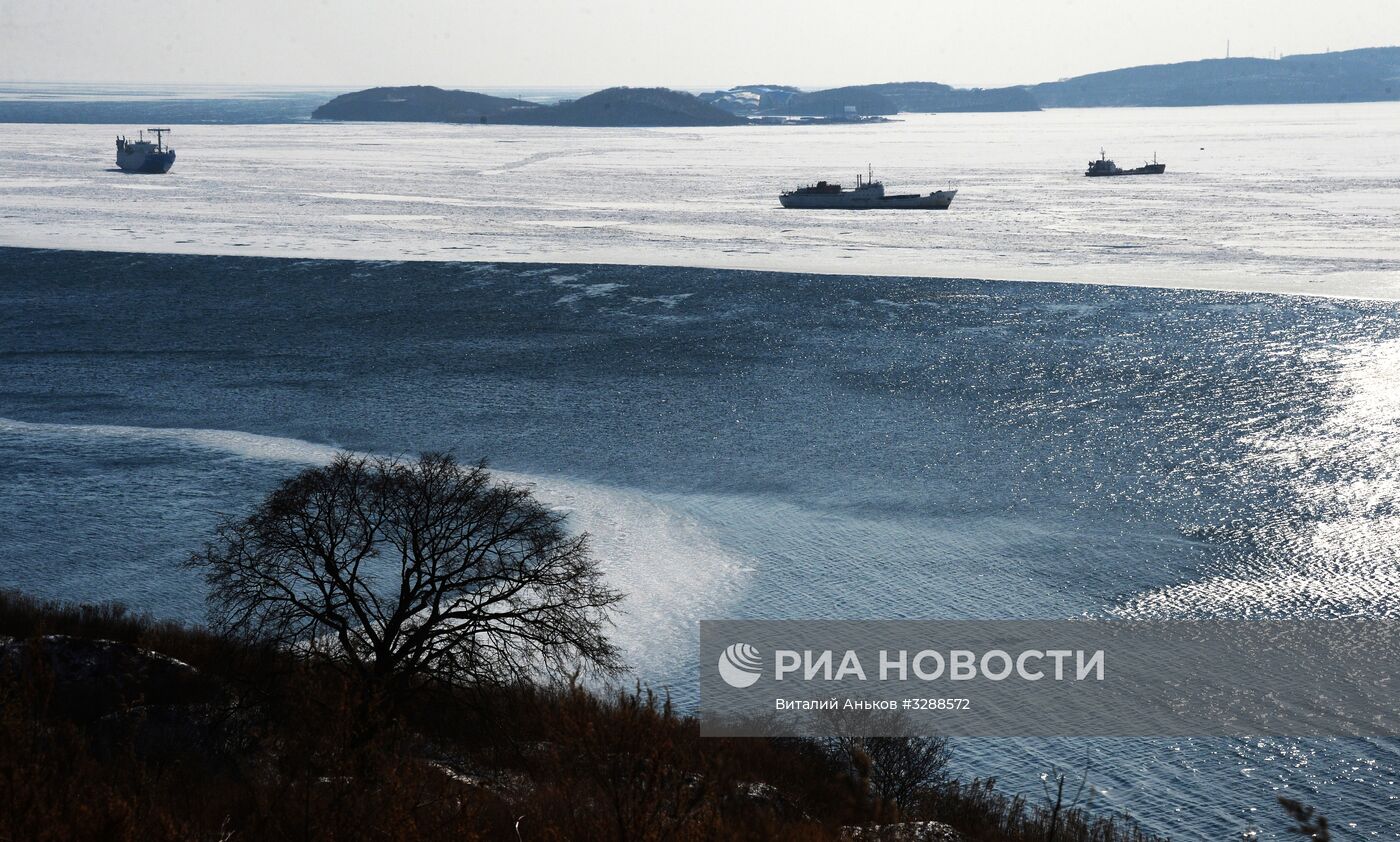 Ледовая обстановка в акватории Владивостока