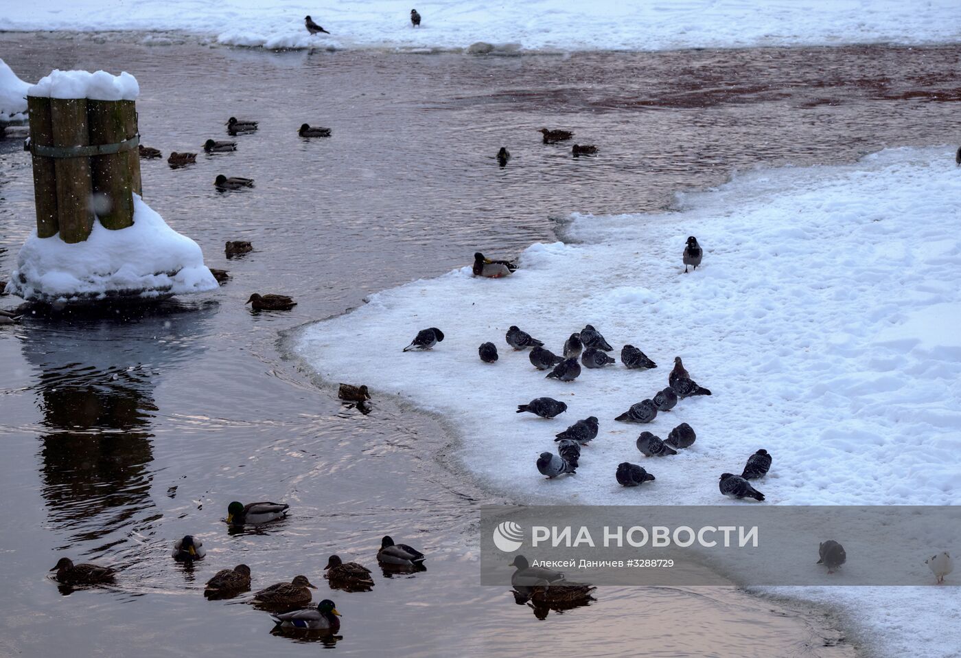 Зима в Санкт-Петербурге