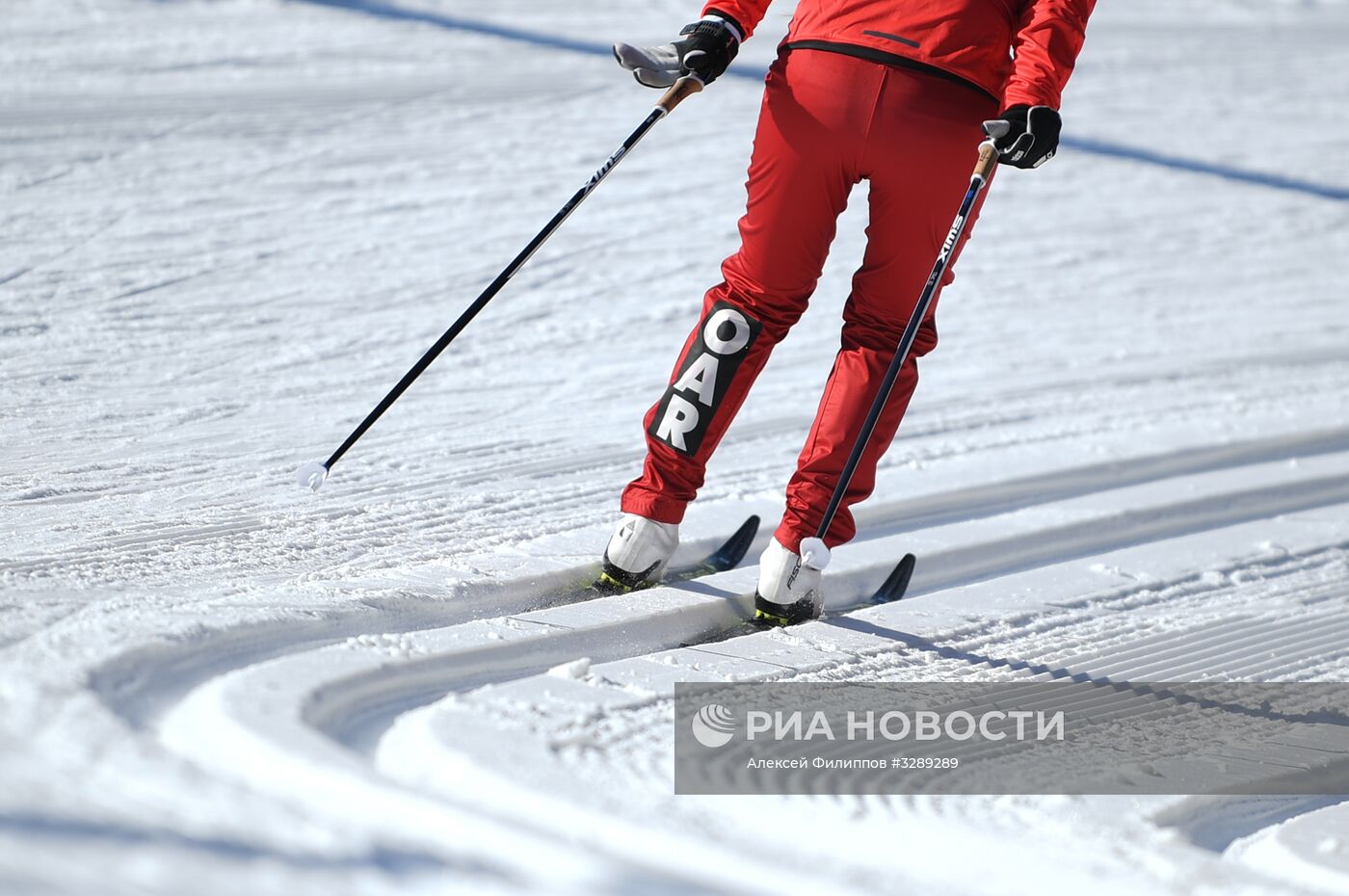 Олимпиада 2018. Лыжные гонки. Тренировки