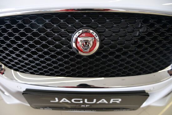 Работа автосалонов в Челябинске