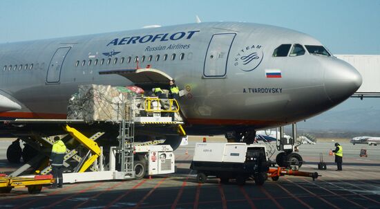 Работа международного аэропорта "Владивосток"