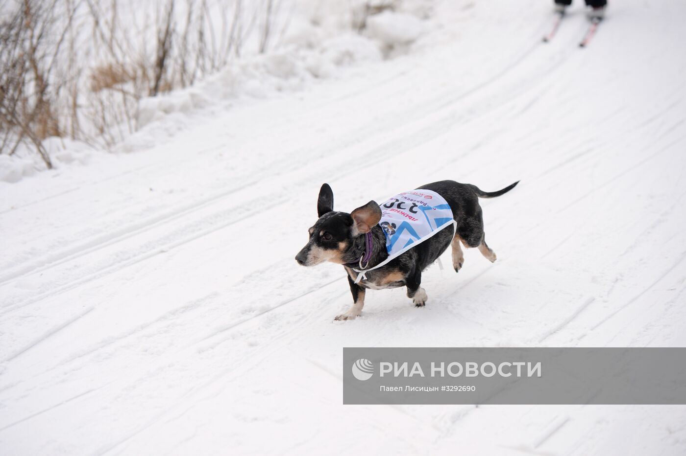 Всероссийская массовая лыжная гонка "Лыжня России - 2018"