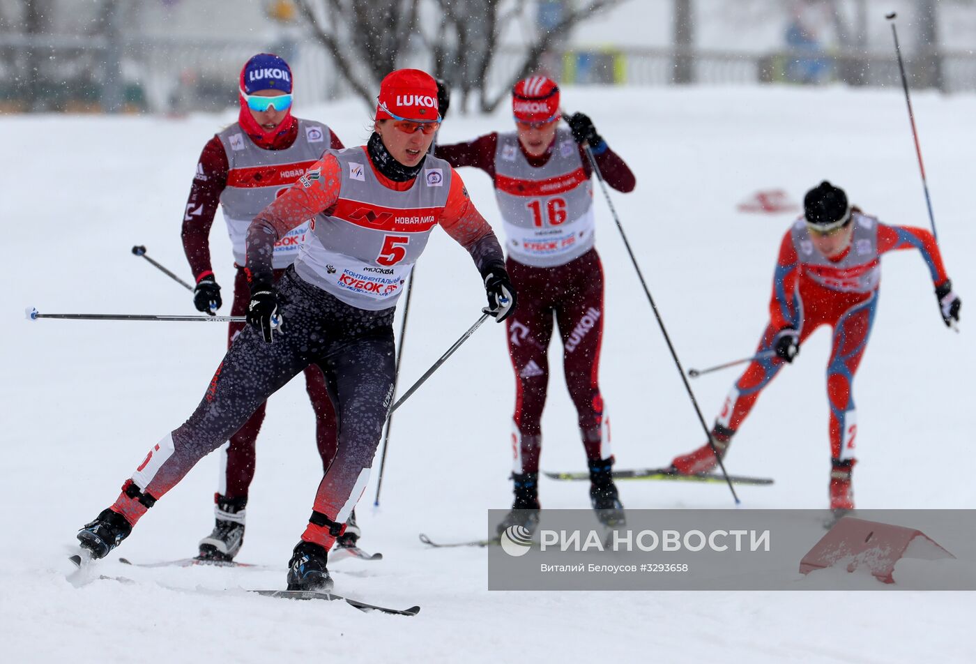 Лыжные гонки. Кубок Восточной Европы FIS