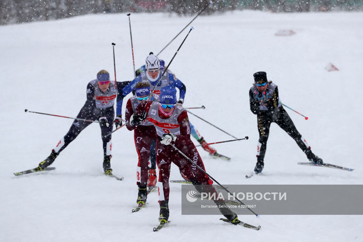 Лыжные гонки. Кубок Восточной Европы FIS