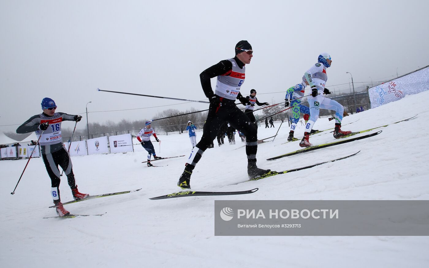 Лыжные гонки. Кубок Восточной Европы FIS