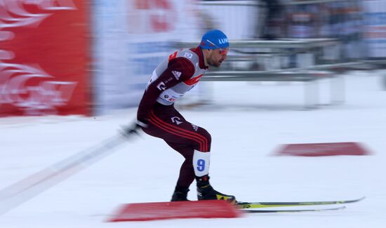 Лыжные гонки. Кубок Восточной Европы FIS