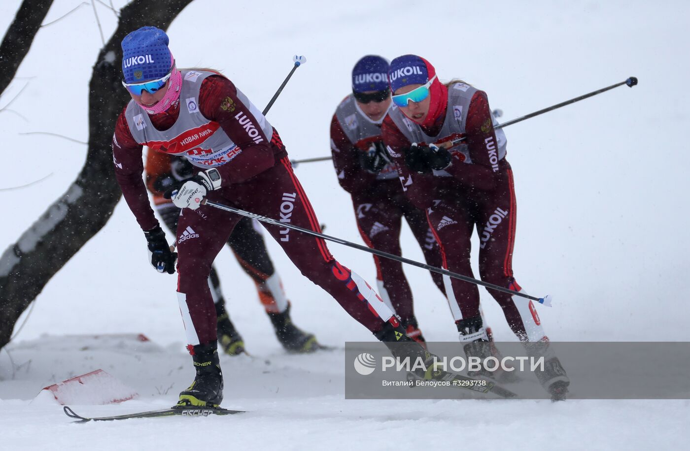 Лыжные гонки. Кубок Восточной Европы FIS