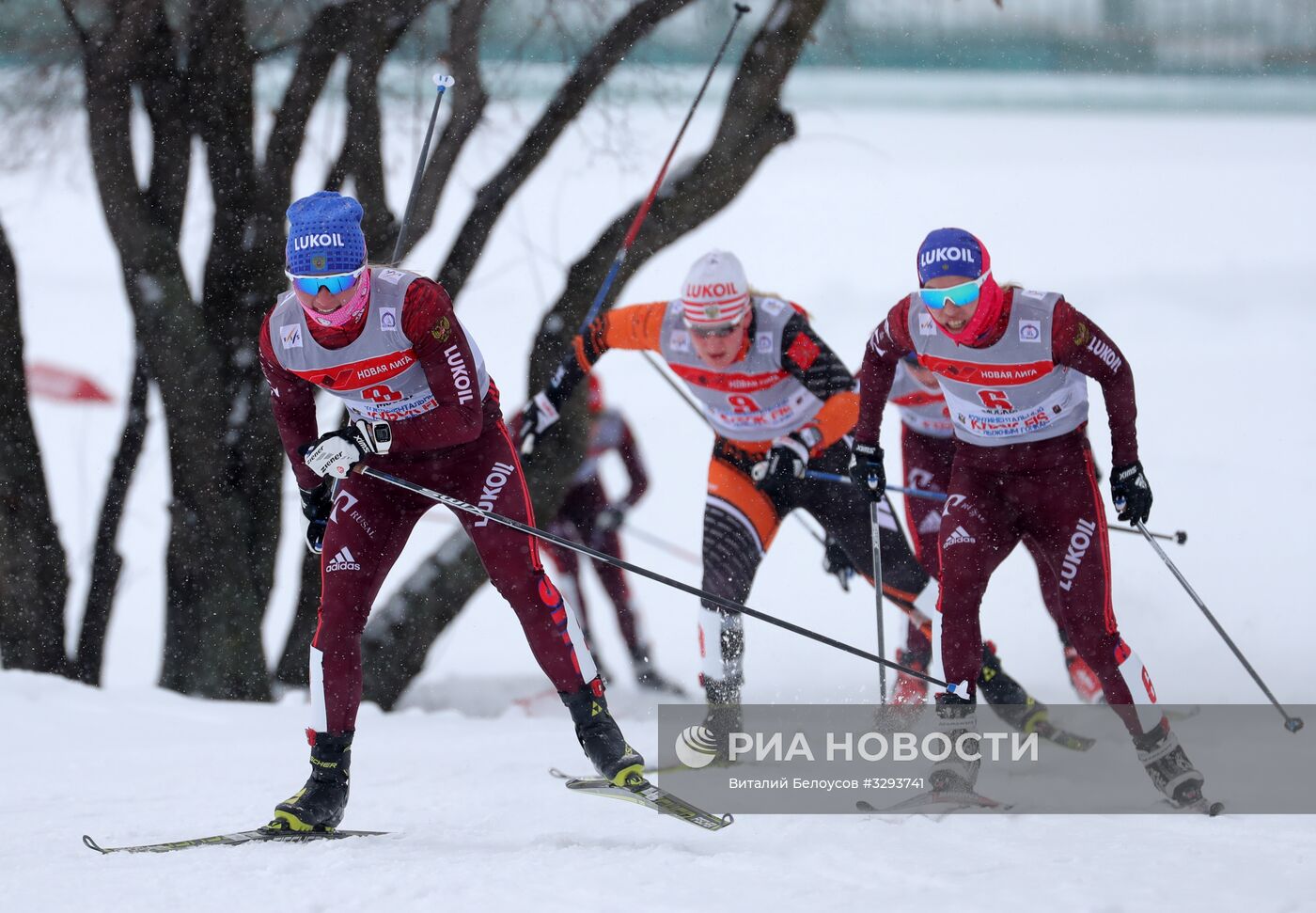 Лыжные гонки. Кубок Восточной Европы FIS