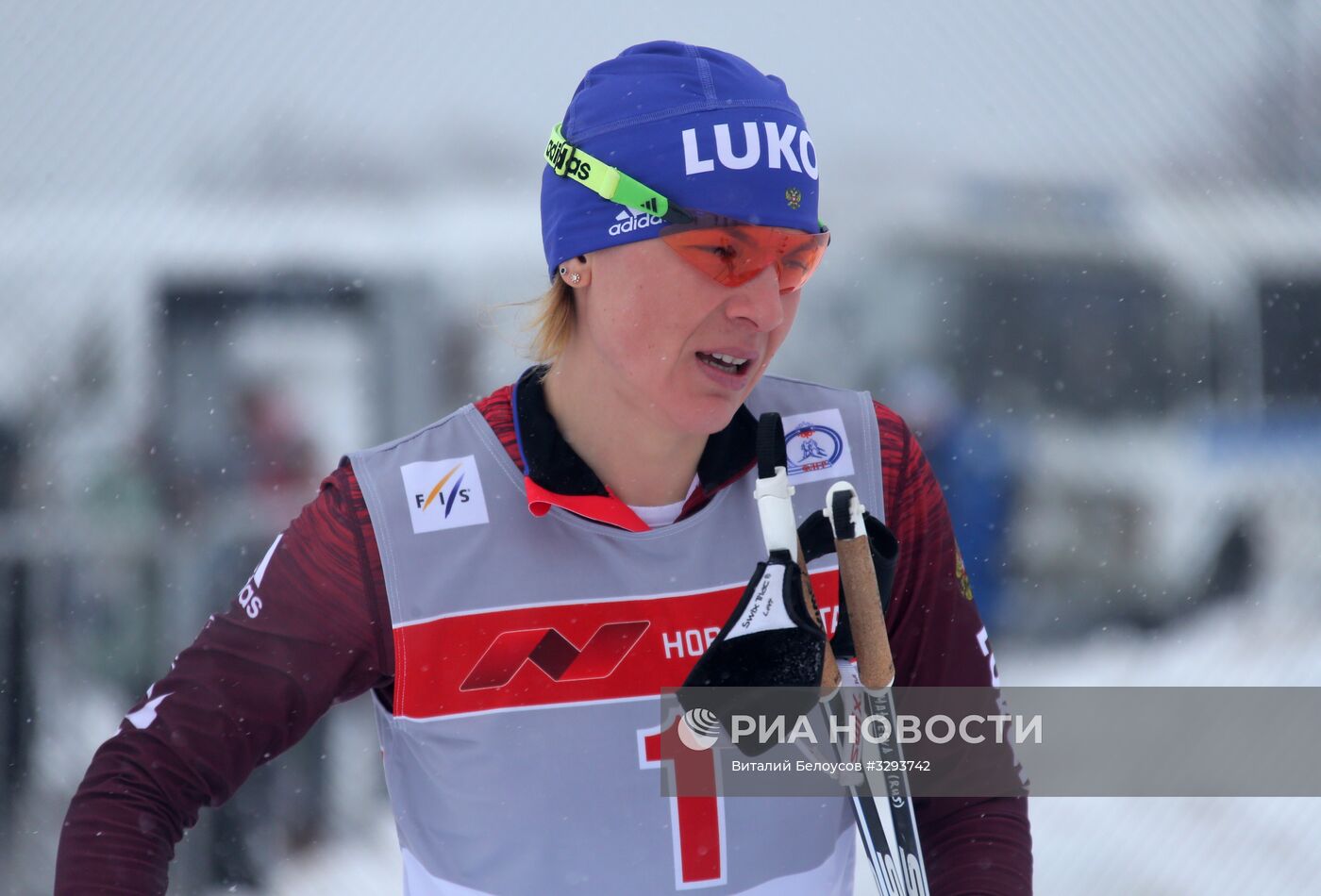 Лыжные гонки. Кубок Восточной Европы FIS