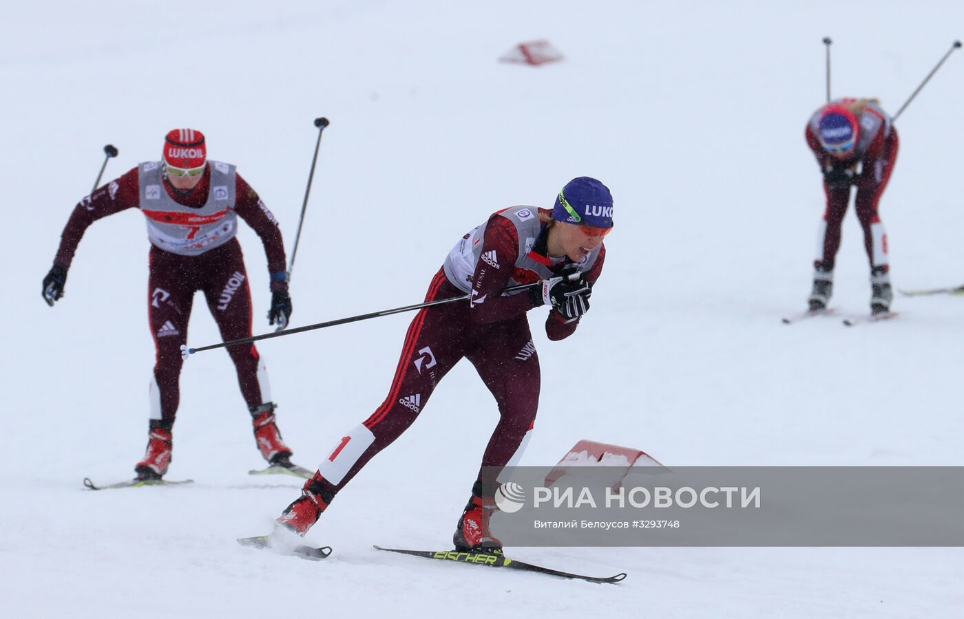 Лыжные гонки. Кубок Восточной Европы FIS