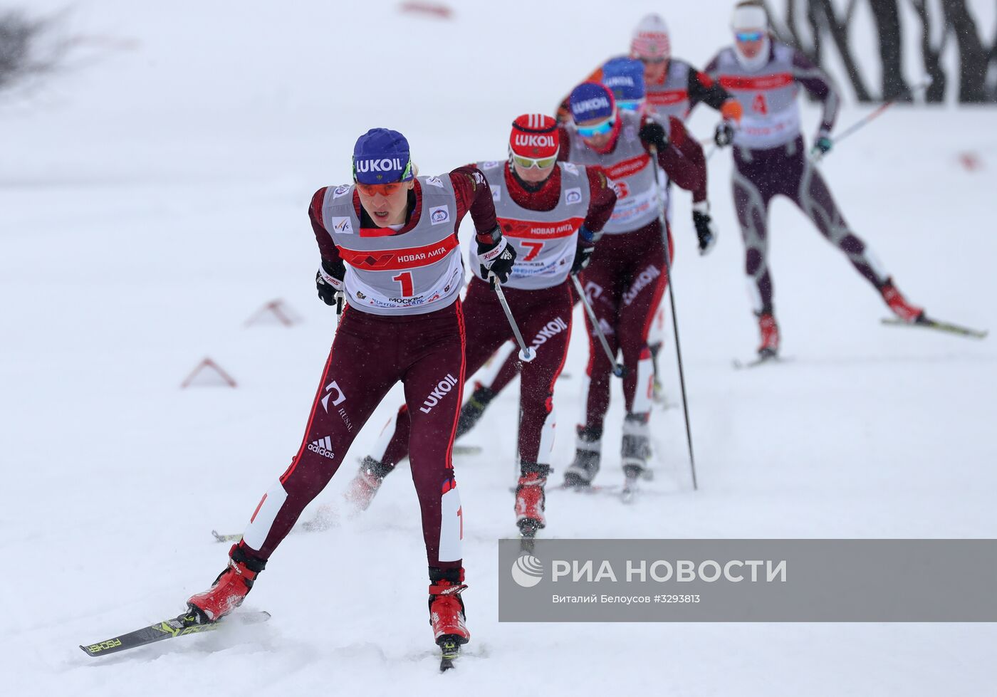 Лыжные гонки. Кубок Восточной Европы FIS