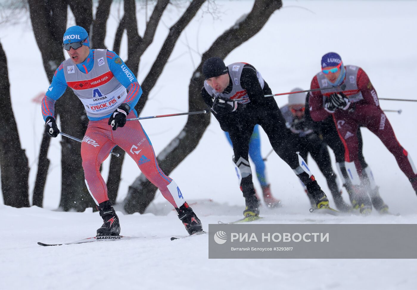 Лыжные гонки. Кубок Восточной Европы FIS