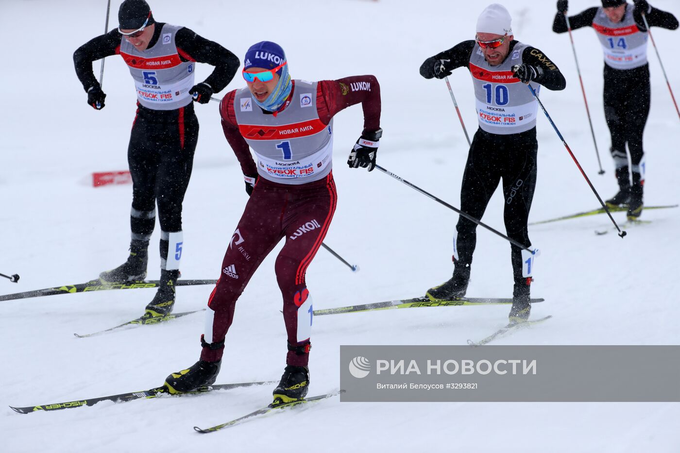 Лыжные гонки. Кубок Восточной Европы FIS