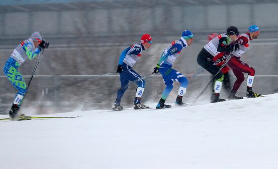 Лыжные гонки. Кубок Восточной Европы FIS