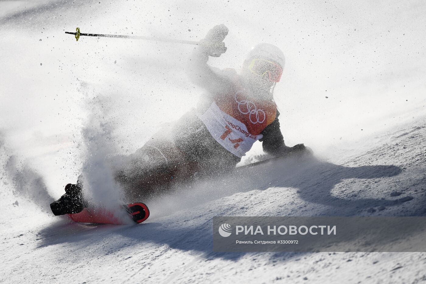 Олимпиада 2018. Фристайл. Женщины. Слоупстайл