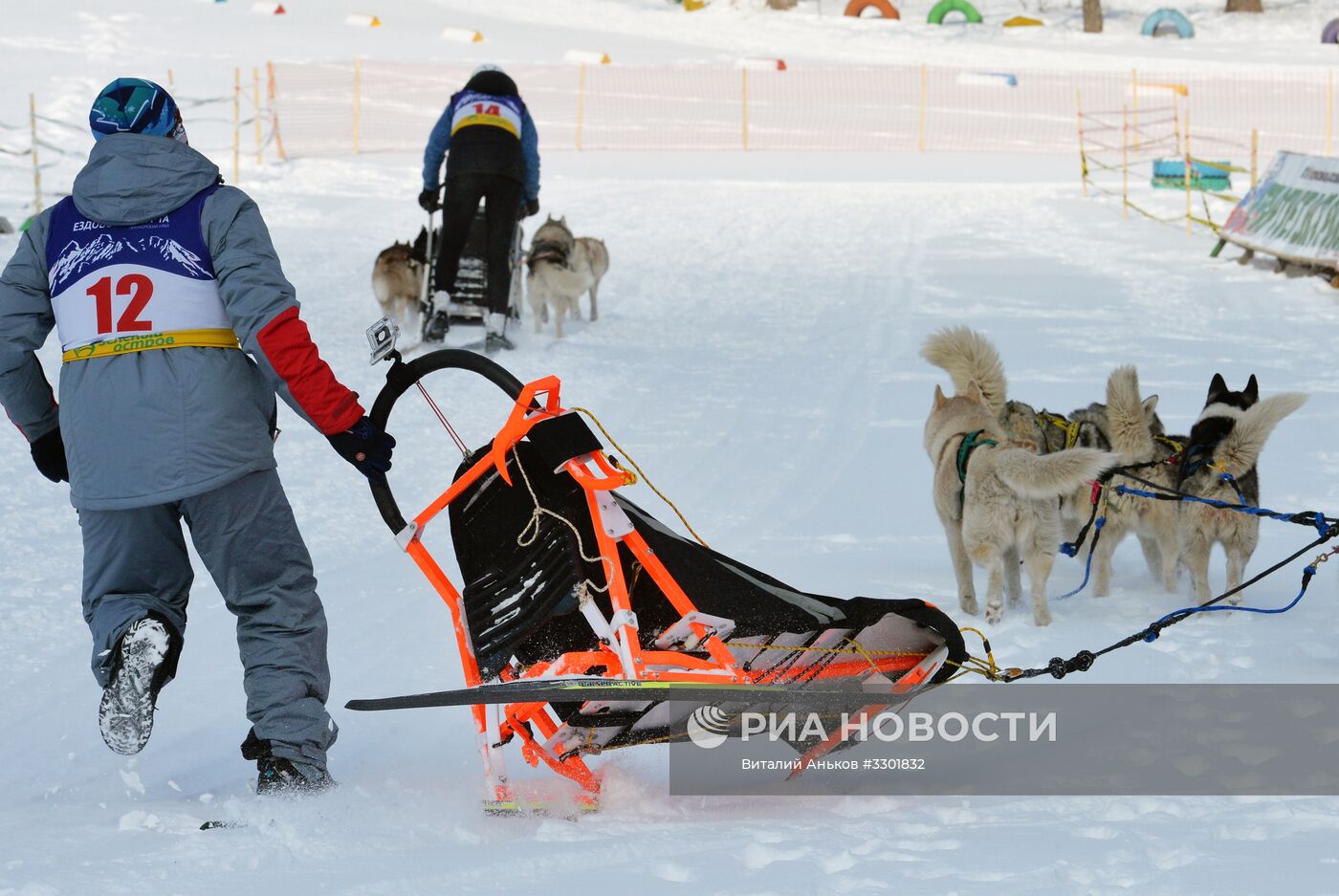 Открытый чемпионат Приморского края по снежным дисциплинам ездового спорта