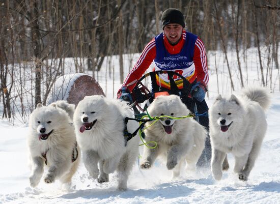 Открытый чемпионат Приморского края по снежным дисциплинам ездового спорта