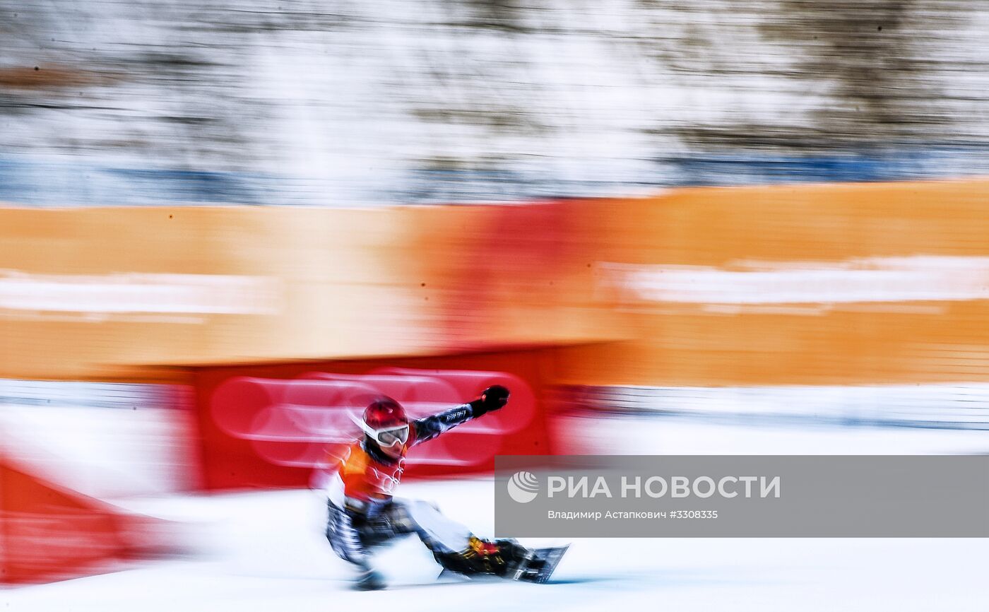 Олимпиада 2018. Сноуборд. Женщины. Параллельный гигантский слалом