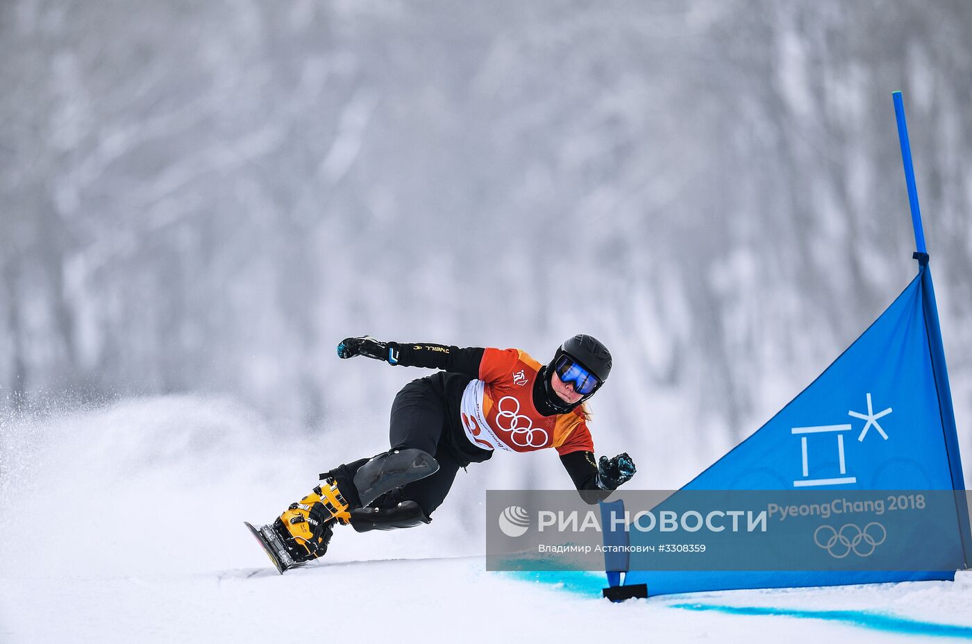 Олимпиада 2018. Сноуборд. Женщины. Параллельный гигантский слалом