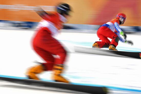 Олимпиада 2018. Сноуборд. Мужчины. Параллельный гигантский слалом