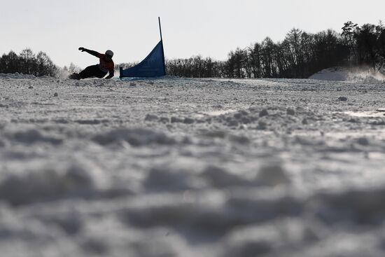 Олимпиада 2018. Сноуборд. Мужчины. Параллельный гигантский слалом