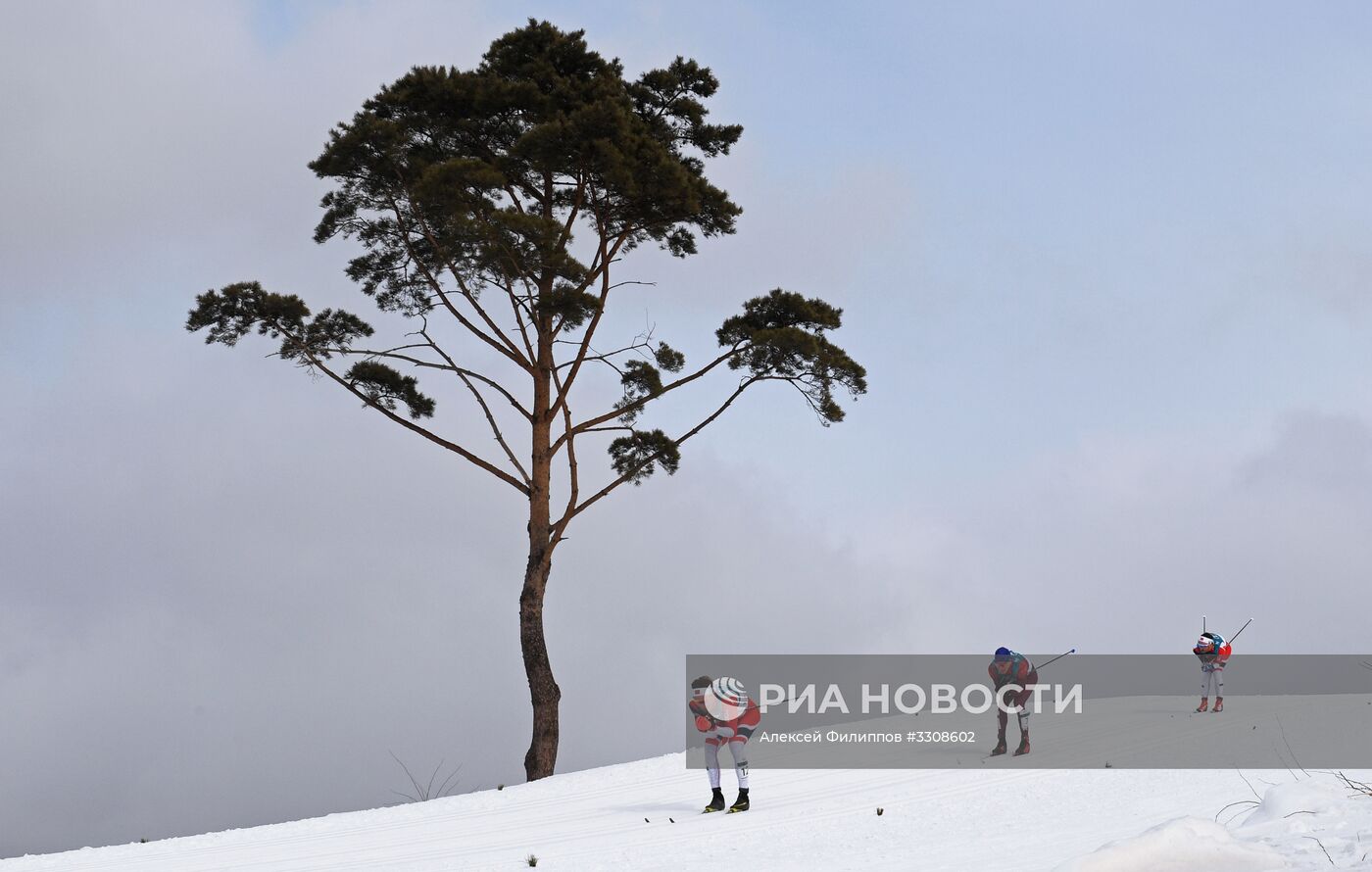 Олимпиада 2018. Лыжные гонки. Мужчины. Масс-старт. 50 км