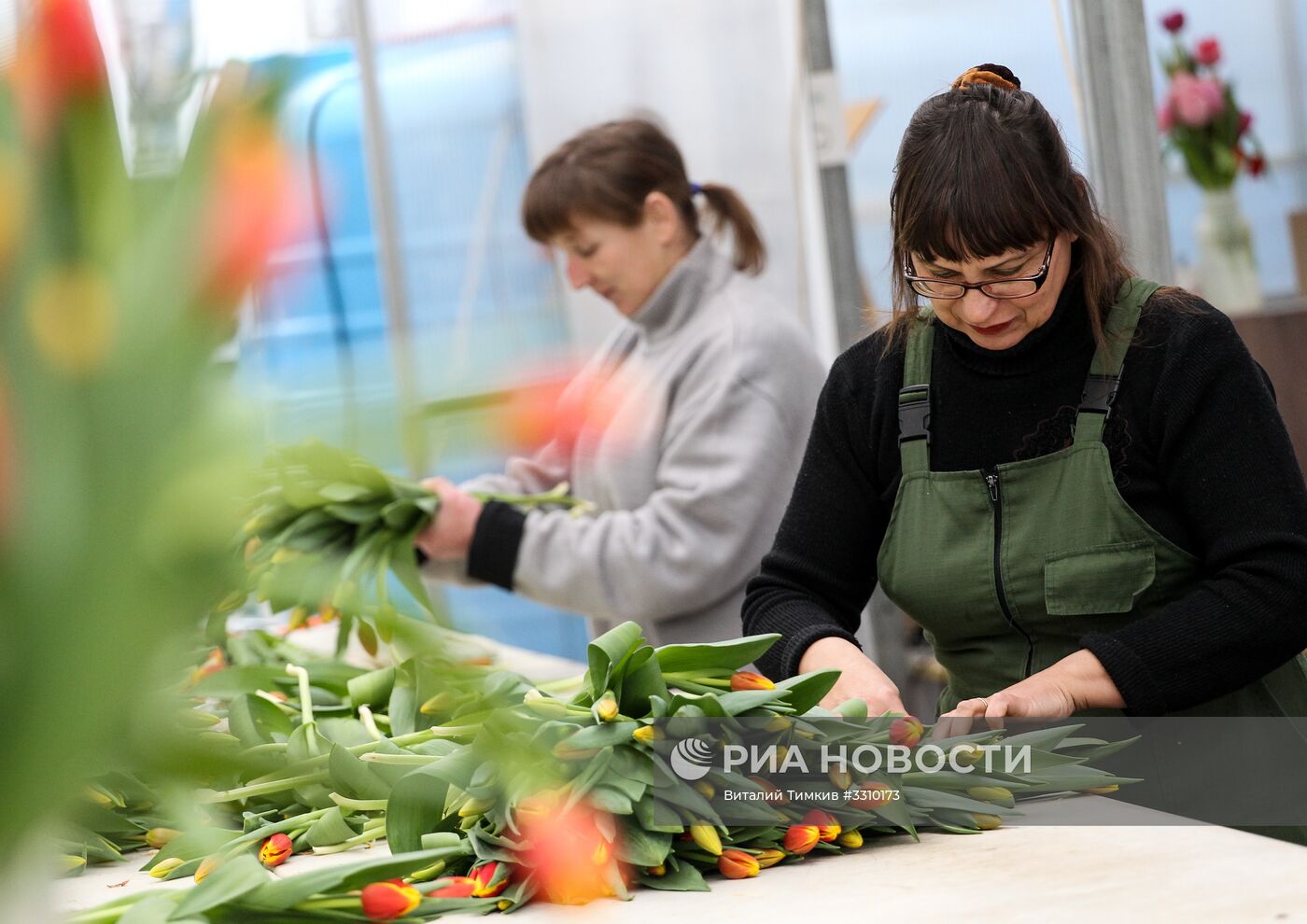 Выращивание тюльпанов в Краснодарском крае