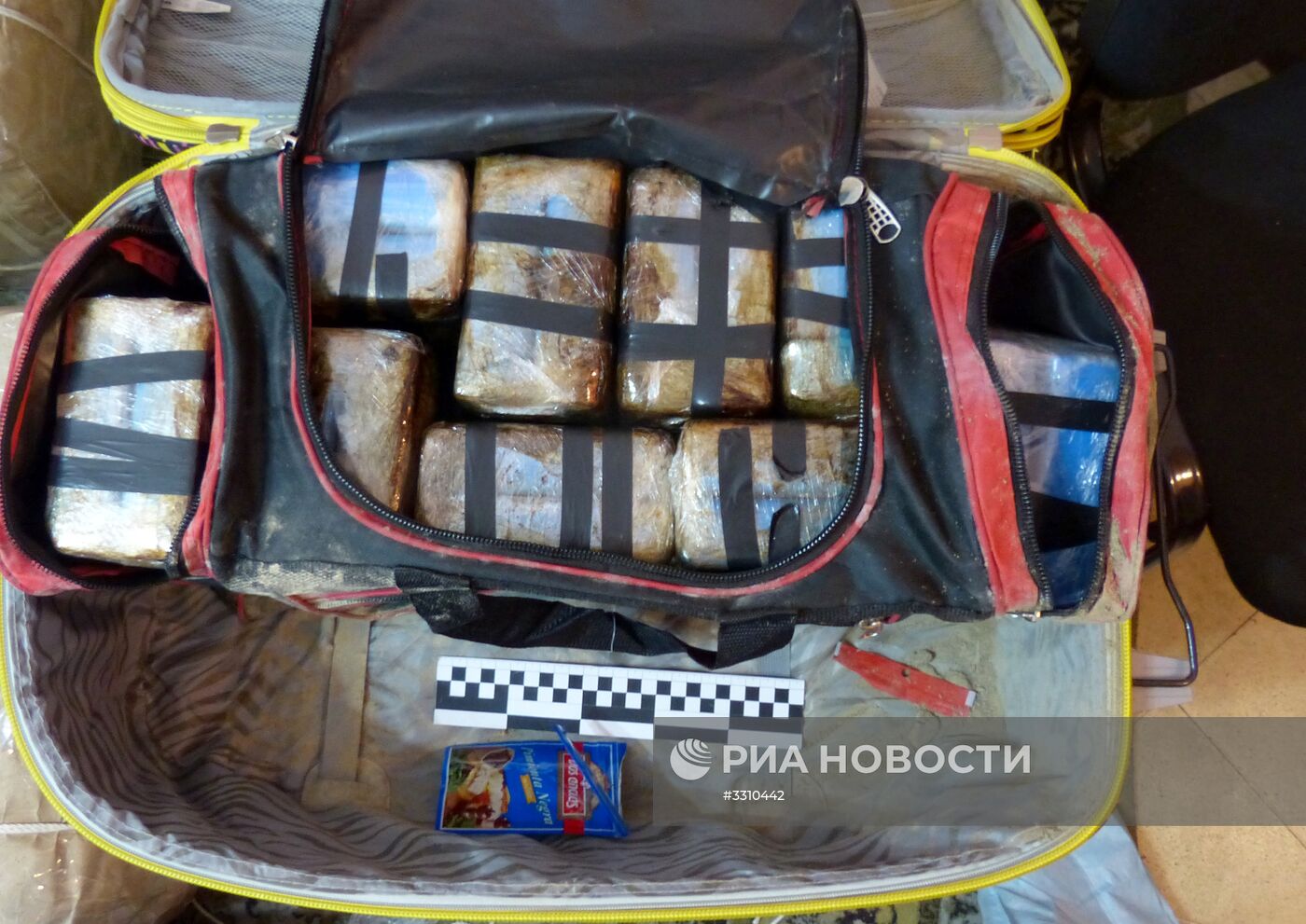 Спецслужбы России и Аргентины объявили о проведении операции по пресечению контрабанды кокаина