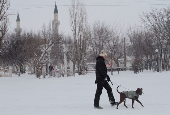 Снег в Крыму