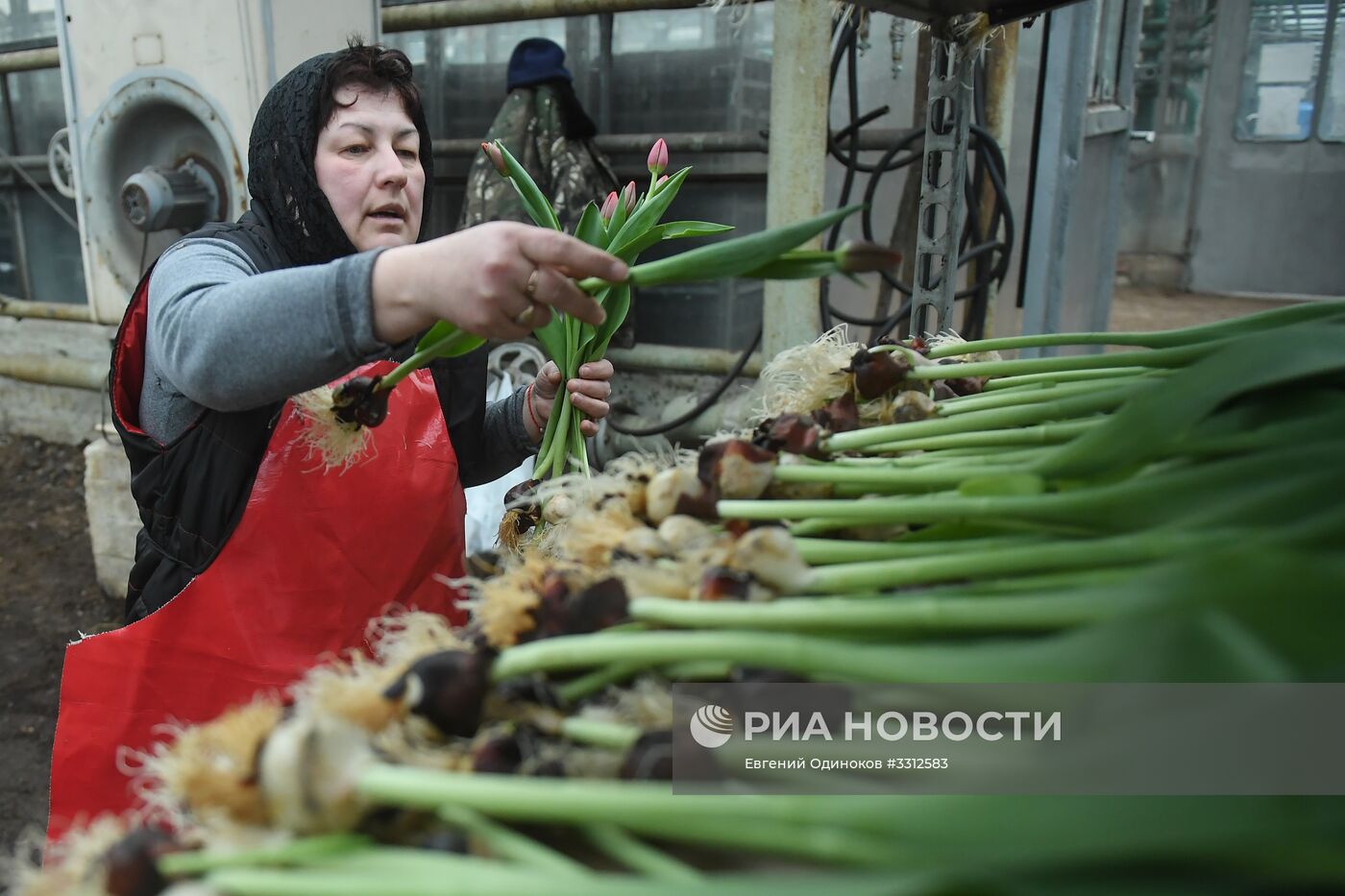 Предприятие по выращиванию цветов в Москве