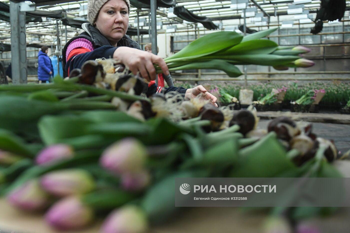 Предприятие по выращиванию цветов в Москве