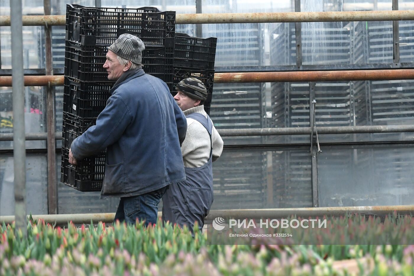 Предприятие по выращиванию цветов в Москве