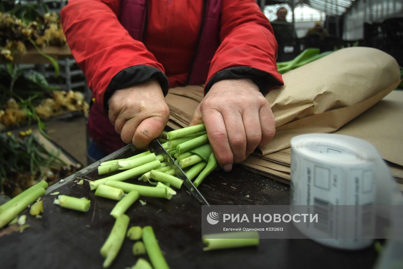 Предприятие по выращиванию цветов в Москве