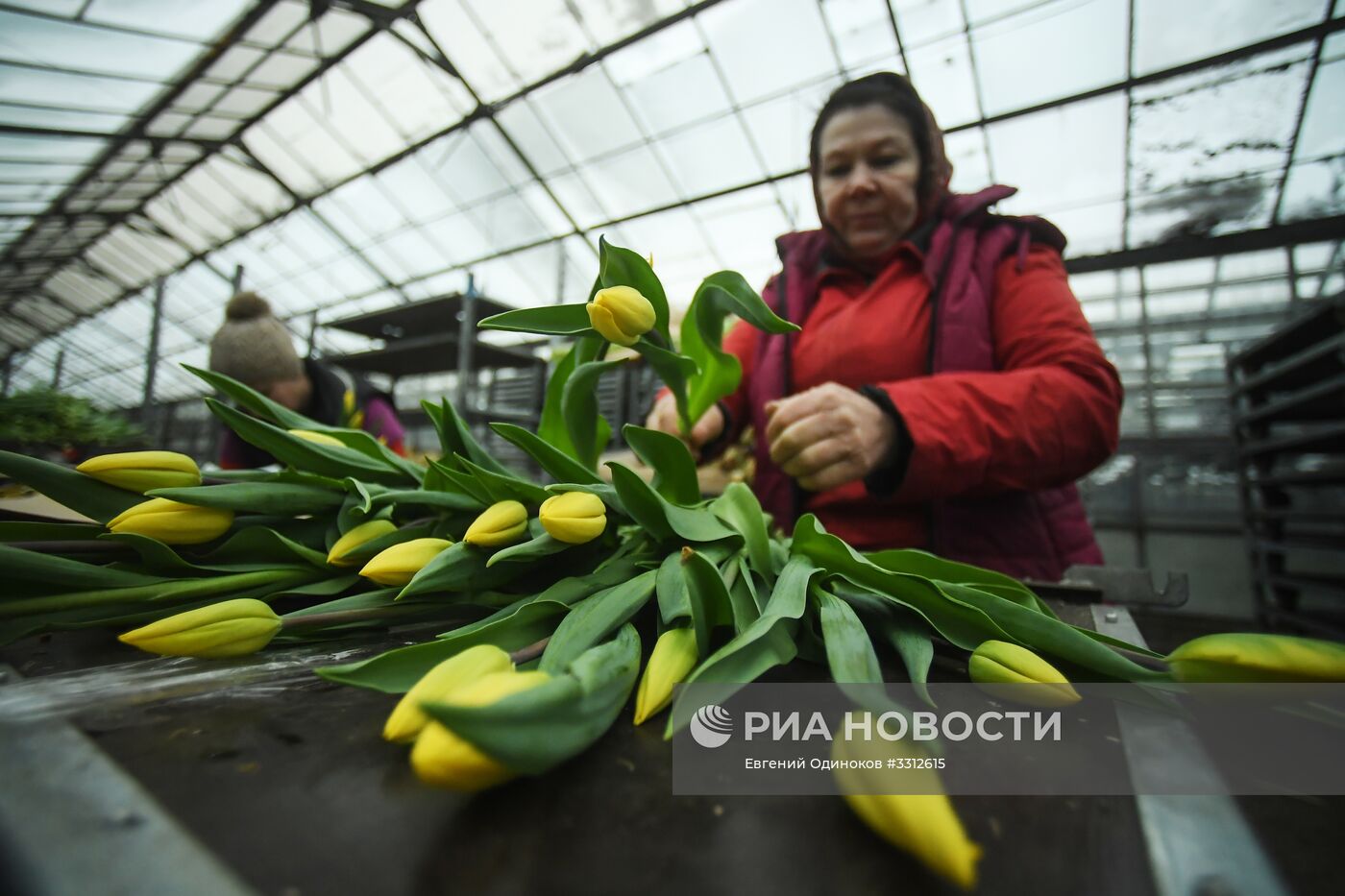 Предприятие по выращиванию цветов в Москве