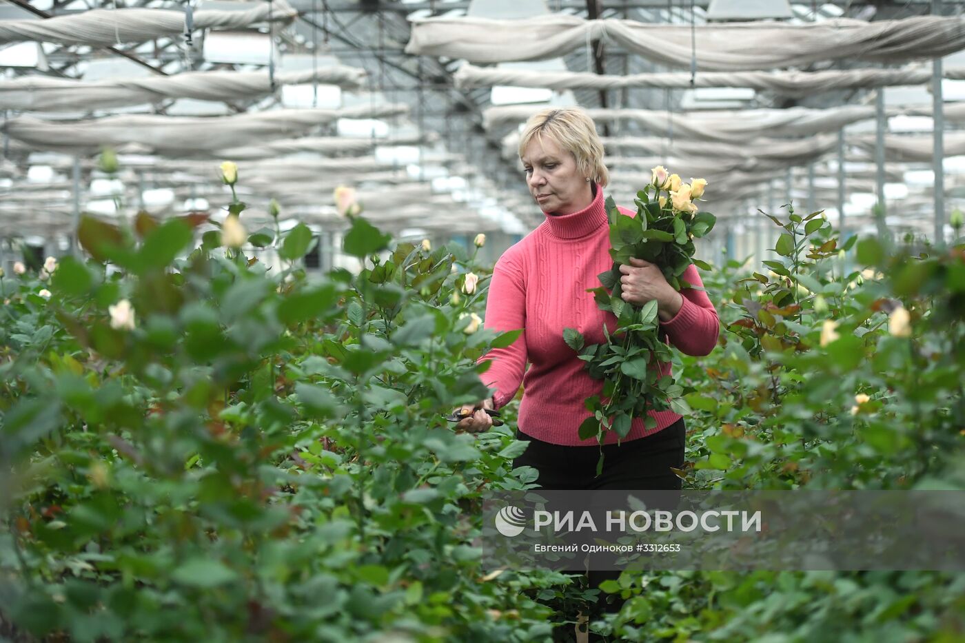 Предприятие по выращиванию цветов в Москве