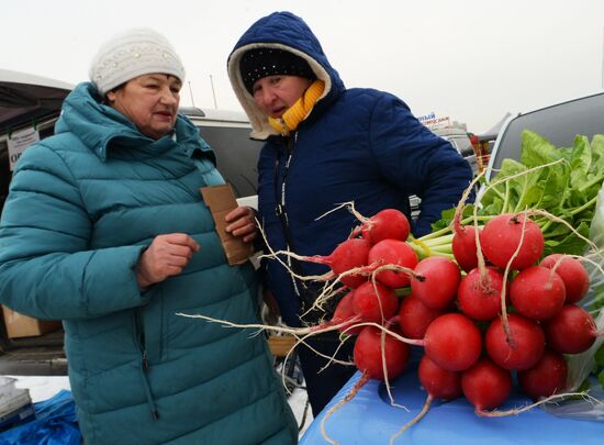 Продовольственная ярмарка во Владивостоке