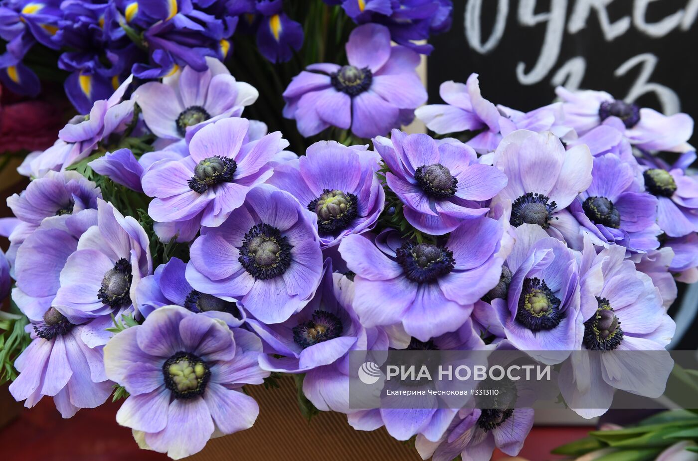 Весенний цветочный базар в Петровском Пассаже
