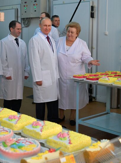 Рабочая поездка президента РФ В. Путина в Самарскую область