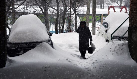 Снегопад во Владивостоке